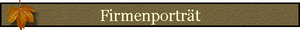 Firmenportrt