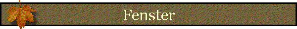 Fenster